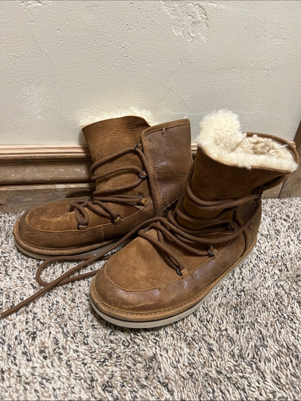 UGG Chestnut Suede Shearling-Lined Ankle Boots